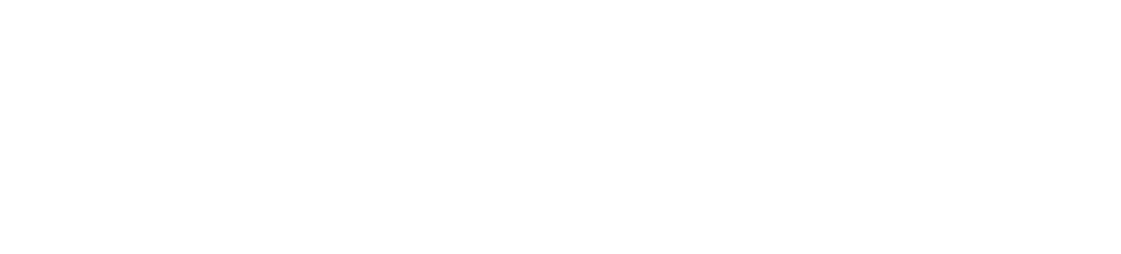 Dynamu Logo